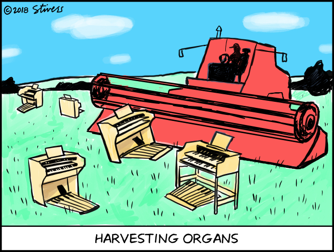 Harvesting organs